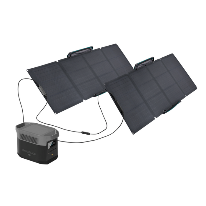 EcoFlow DELTA mini + 160W Solar Panel