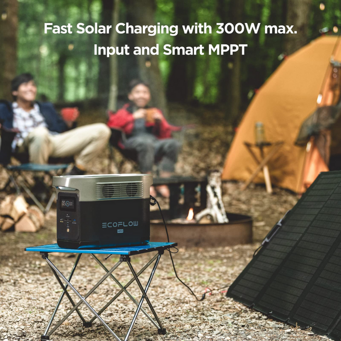 EcoFlow DELTA mini + 160W Solar Panel